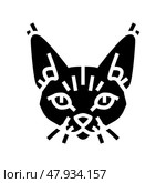 devon rex cat cute pet glyph icon vector illustration. Стоковая иллюстрация, иллюстратор Vectorwin / Фотобанк Лори