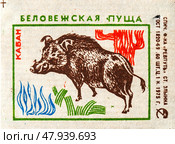 Лисица. Серия: Беловежская пуща. Спичечные этикетки СССР. 1975. Редакционное фото, фотограф Сергей Афанасьев / Фотобанк Лори
