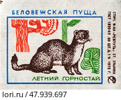 Летний горностай. Серия: Беловежская пуща. Спичечные этикетки СССР. 1975. Редакционное фото, фотограф Сергей Афанасьев / Фотобанк Лори
