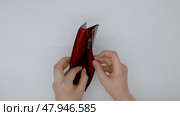 Hands showing empty red wallet. Стоковое видео, видеограф Катерина Белякина / Фотобанк Лори