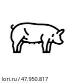berkshire pig breed line icon vector illustration. Стоковая иллюстрация, иллюстратор Vectorwin / Фотобанк Лори