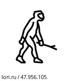 homo erectus human evolution line icon vector illustration. Стоковая иллюстрация, иллюстратор Vectorwin / Фотобанк Лори