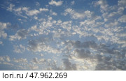 Real time video with altocumulus high cumulus heaped cloud stratocumuliform. Globular masses or rolls in patches. Cumuliform stratocumuliform clouds altocumulus signifies convection. Blue evening sky. Стоковое видео, видеограф Юлия Петровская / Фотобанк Лори