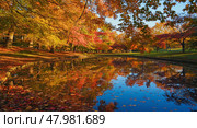 The autumn season is reflected by its beauty on the water surface of the lake. Yellow autumn leaves have covered all the trees and a carpet of grass, which is reflected on the water surface. Стоковое AI-изображение, AI-художник Антон Слабоспицкий / Фотобанк Лори