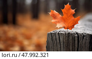 colorful orange park wood macro ai generated. Стоковое AI-изображение, AI-художник Vectorwin / Фотобанк Лори