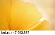 garden foliage texture light macro ai generated. Стоковое AI-изображение, AI-художник Vectorwin / Фотобанк Лори