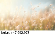 summer beautiful blur blooming field ai generated. Стоковое AI-изображение, AI-художник Vectorwin / Фотобанк Лори