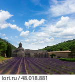 Abbey Senanque and Lavender field, France (2015 год). Стоковое фото, фотограф Anastasy Yarmolovich / Фотобанк Лори