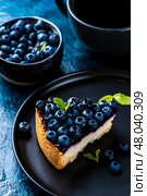 Blueberry cheesecake decorated with blueberries. Стоковое фото, фотограф Светлана Денисова / Фотобанк Лори