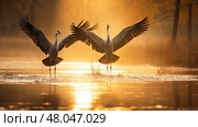 geese prairie pothole marsh ai generated. Стоковое AI-изображение, AI-художник Vectorwin / Фотобанк Лори