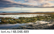 wetland salt marsh landscape ai generated. Стоковое AI-изображение, AI-художник Vectorwin / Фотобанк Лори