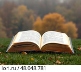 Книга и осенний пейзаж. Стоковое AI-изображение, AI-художник Boostport / Фотобанк Лори