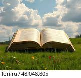 Книга в поле. Стоковое AI-изображение, AI-художник Boostport / Фотобанк Лори