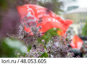 Копия Знамени Победы развевается в сквере в центре города Москвы на фоне цветущих деревьев, Россия. Редакционное фото, фотограф Николай Винокуров / Фотобанк Лори