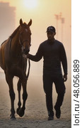 Horse and jockey walking at sunrise on racetrack. Стоковое AI-видео, аниматор Юрий Поздников / Фотобанк Лори