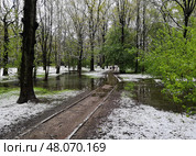 Парк "Дубки" после весеннего снегопада в мае. Новые Химки. Стоковое фото, фотограф Александр Замараев / Фотобанк Лори
