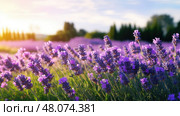 eucalyptus essential oil plant ai generated. Стоковое AI-изображение, AI-художник Vectorwin / Фотобанк Лори