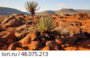 spiky aloe ferox ai generated. Стоковое AI-изображение, AI-художник Vectorwin / Фотобанк Лори