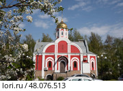 Blossoming branches of a cherry tree on a blurred background of a beautiful red church. Стоковое фото, фотограф irisff / Фотобанк Лори
