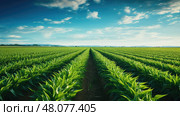 field monoculture crop farm ai generated. Стоковое AI-изображение, AI-художник Vectorwin / Фотобанк Лори