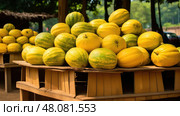 vibrant yellow seedless watermelon ai generated. Стоковое AI-изображение, AI-художник Vectorwin / Фотобанк Лори