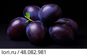 aesthetically prune plum isolated ai generated. Стоковое AI-изображение, AI-художник Vectorwin / Фотобанк Лори