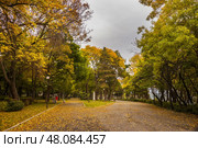 Аллея парка Морска градина в Бургасе, Болгария. Стоковое фото, фотограф Анна Ефимова / Фотобанк Лори