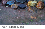 Vibrant rainfall on stones: transformative splashes captured in slow motion. Стоковое видео, видеограф Zakharova Natasha / Фотобанк Лори