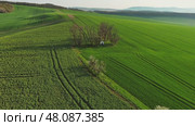 Chapel st. Barbara in South Moravia fields. Стоковое видео, видеограф Михаил Коханчиков / Фотобанк Лори