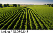 lidar drones agriculture ai generated. Стоковое AI-изображение, AI-художник Vectorwin / Фотобанк Лори