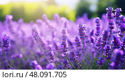 eucalyptus herbal essential oil ai generated. Стоковое AI-изображение, AI-художник Vectorwin / Фотобанк Лори