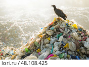 Black vulture perched on pile of plastic garbage in landfill. Стоковое AI-изображение, AI-художник Юрий Поздников / Фотобанк Лори