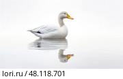 pd duck on white background. Стоковое AI-изображение, AI-художник Vectorwin / Фотобанк Лори