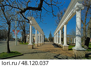 Колоннада в сквере Шиллера в Калининграде. Стоковое фото, фотограф Ольга Дмитренко / Фотобанк Лори