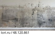 growth mold on walls ai generated. Стоковое AI-изображение, AI-художник Vectorwin / Фотобанк Лори