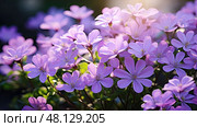 soft light purple flowers ai generated. Стоковое AI-изображение, AI-художник Vectorwin / Фотобанк Лори