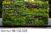 led garden technology ai generated. Стоковое AI-изображение, AI-художник Vectorwin / Фотобанк Лори