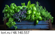 parsley fresh herbs on dark blue ai generated. Стоковое AI-изображение, AI-художник Vectorwin / Фотобанк Лори