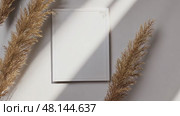 Mockup white blank space card, for Name place, Folded, greeting, invitation on wedding table setting background. with clipping path. Стоковое AI-видео, аниматор Ирина Старикова / Фотобанк Лори