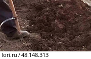 Работа с землей лопатой. Стоковое видео, видеограф Лара Богданова / Фотобанк Лори