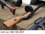 Syktyvkar, Komi, Russia, May 1, 2025, Weapons, rifles of the 2nd World War, Редакционное фото, фотограф Александр Поташев / Фотобанк Лори