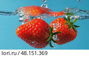 Vibrant strawberries plunge and drift in crystal clear water against blue background. Стоковое AI-видео, аниматор Владимир Федоров / Фотобанк Лори