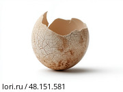 Broken Eggshell Isolated on White Background, Clean Food Photography with Clipping Path. Разбитая яичная скорлупа изолирована на белом фоне, чистая фуд фотография. Стоковое AI-изображение, AI-художник Katsiaryna Repich / Фотобанк Лори