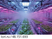 Retrofuturism interior of the building, free space structure. AI Generative. Стоковое AI-изображение, AI-художник Spirit River / Фотобанк Лори