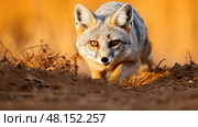 instincts grey fox ai generated. Стоковое AI-изображение, AI-художник Vectorwin / Фотобанк Лори