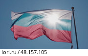4k, The Russian flag flutters in the wind against the blue sky. Стоковое видео, видеограф Сергей Богомяко / Фотобанк Лори