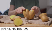 Exploring the Varied and Unique Shapes of Potatoes in a Creative Kitchen Setting Environment. Стоковое видео, видеограф Ольга Коваленко / Фотобанк Лори