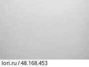 Subtle light gray plaster wall background with gentle texture ideal for clean product mockup design advertising branding copy space. Стоковое фото, фотограф Павел Муравьев / Фотобанк Лори