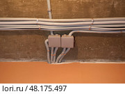 The electrical wires in the protective corrugated cable tube and the junction box are neatly laid on the ceiling. Стоковое фото, фотограф Виктория Тельминова / Фотобанк Лори