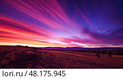 streaking purple lines ai generated. Стоковое AI-изображение, AI-художник Vectorwin / Фотобанк Лори